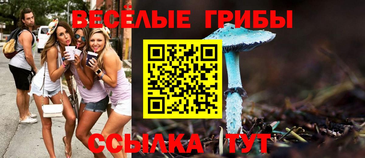 Киселёвск  Псилоцибиновые грибы ЛСД  Галлюциногенные грибы MAGIC MUSHROOMS  Вход с VPN 
